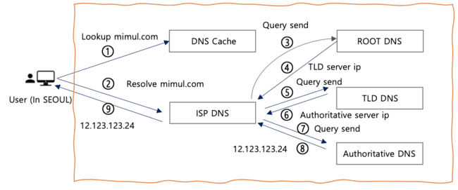DNS