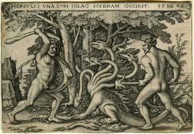Hydra Code